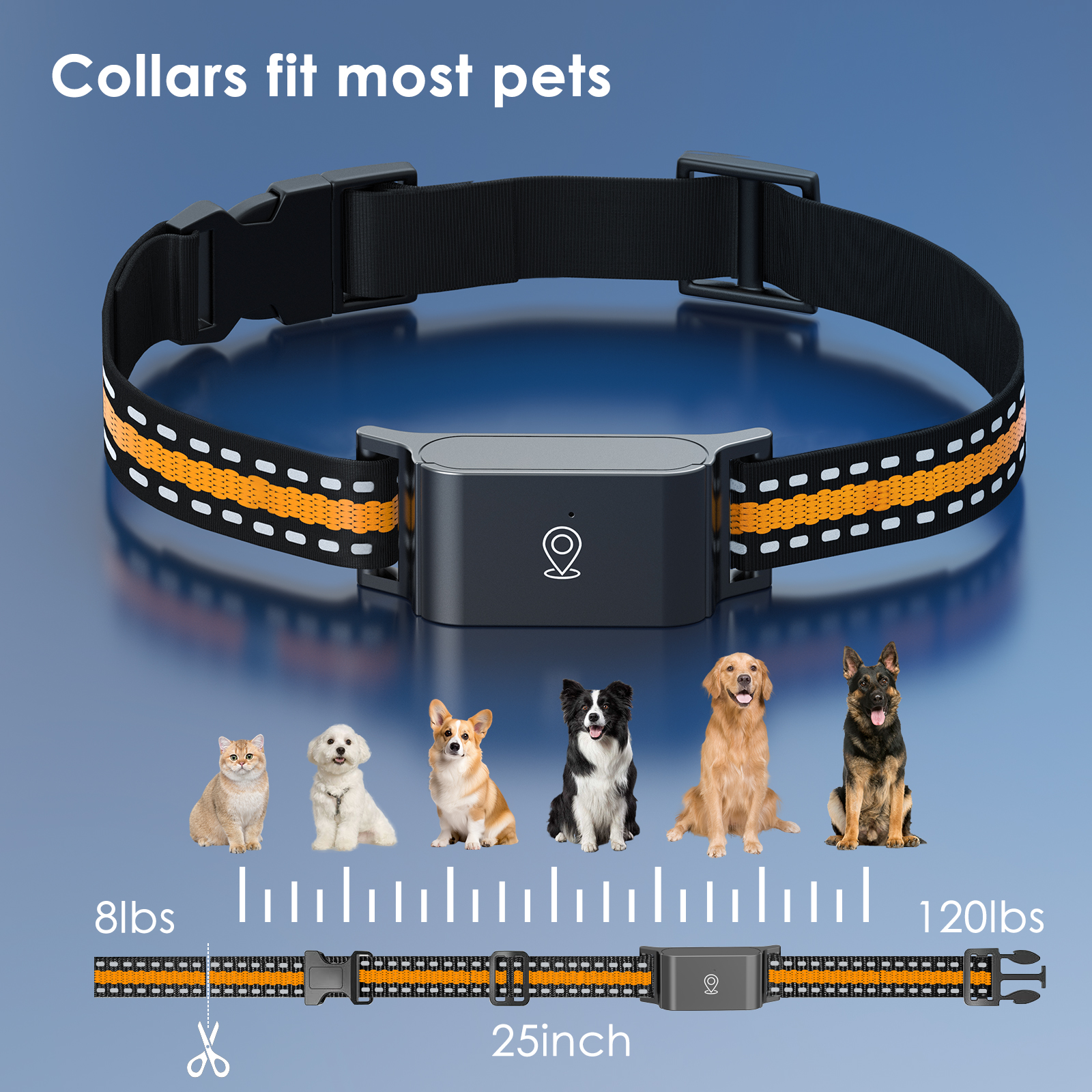 C09 Pet GPS Tracker | MOQ 100 Units - Image 2