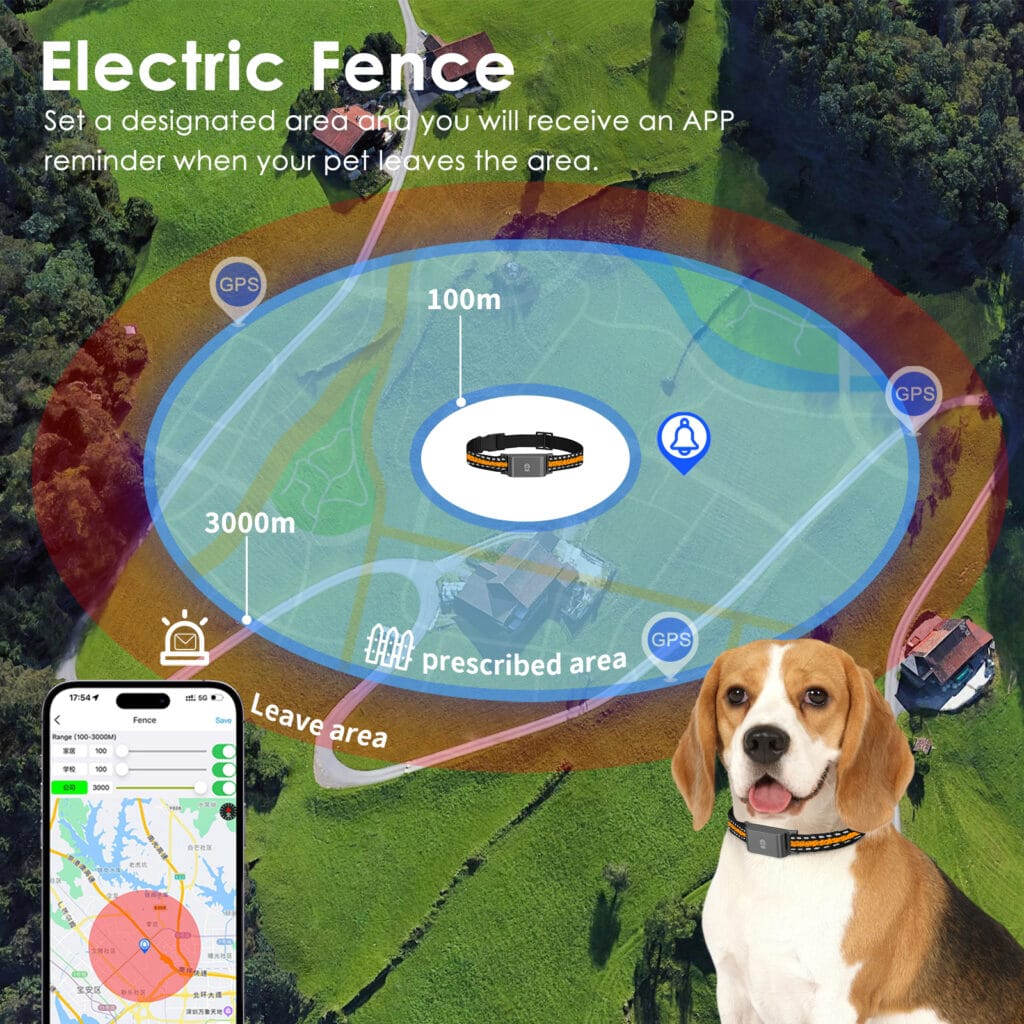 C09 pet use scene