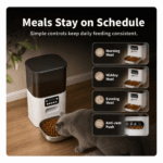 PFF015 Automatic Pet Feeder with Button