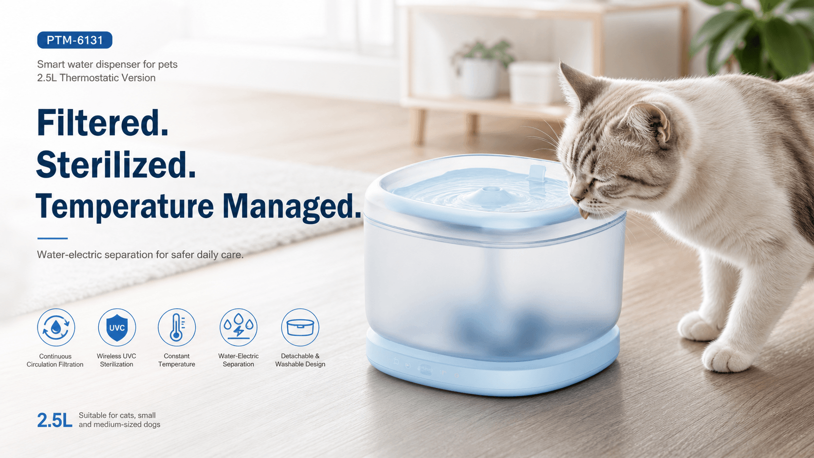 Comfortable Water Through the Day