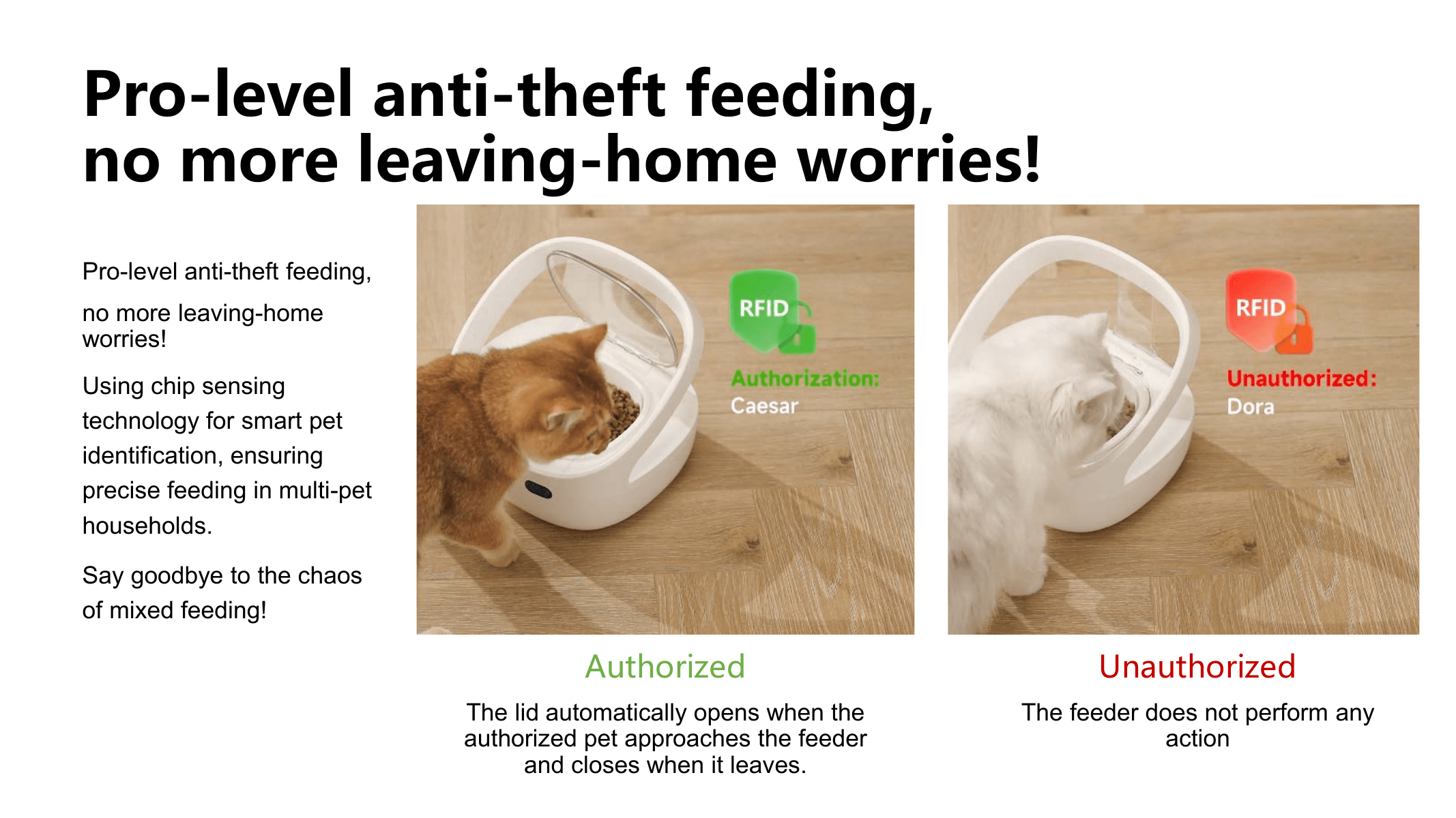 The Right Meal for the Right Pet