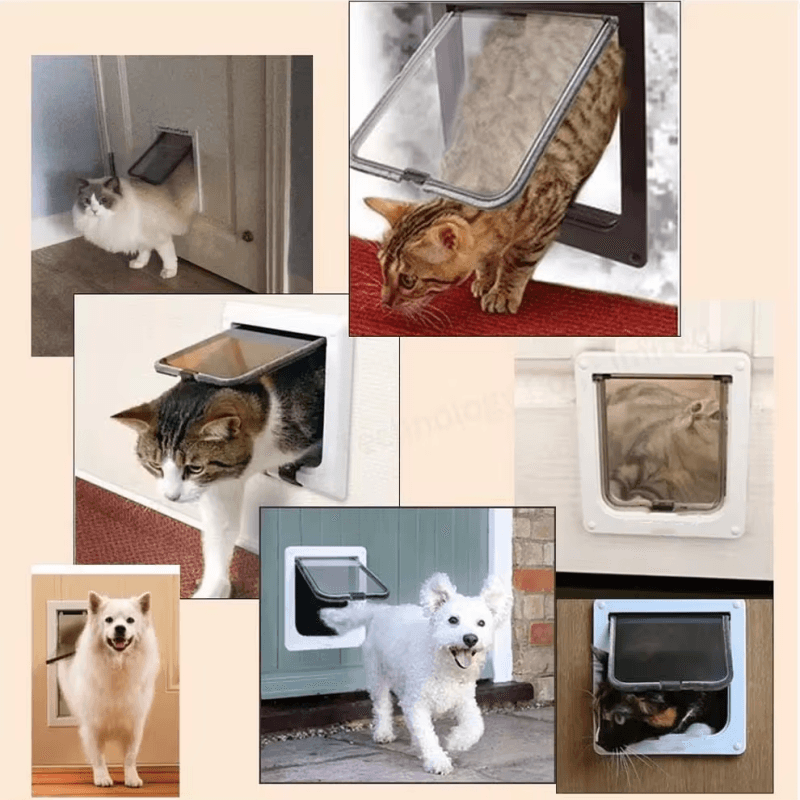 Controlled pet access for everyday routines