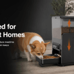 XWSQ01 5L Dual-Bowl Automatic Pet Feeder