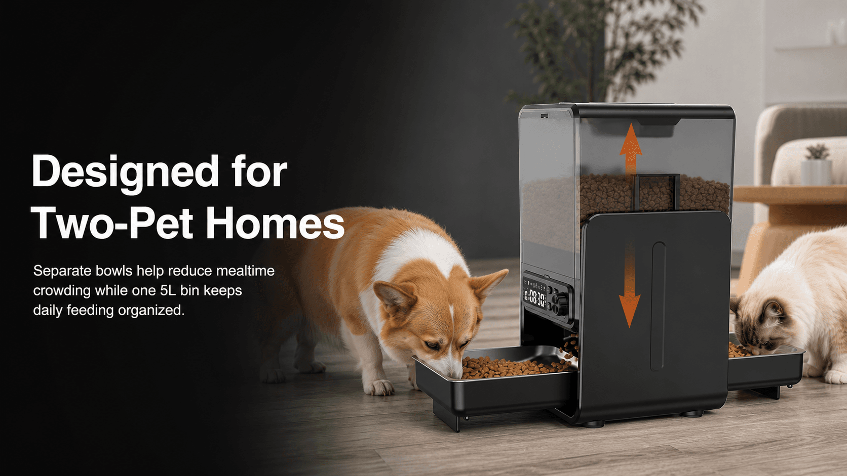 One Feeder, Two Comfortable Places