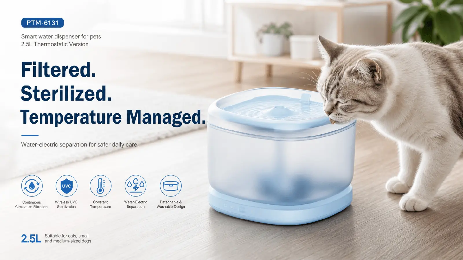 Comfortable Water Through the Day